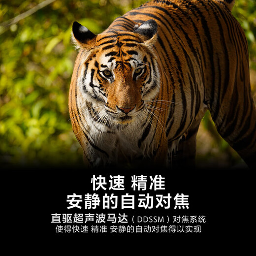 Sony (SONY) FE 200-600mm F5.6-6.3 G OSS full-frame mirrorless camera lens super telephoto zoom G lens for bird shooting (SEL200600G)