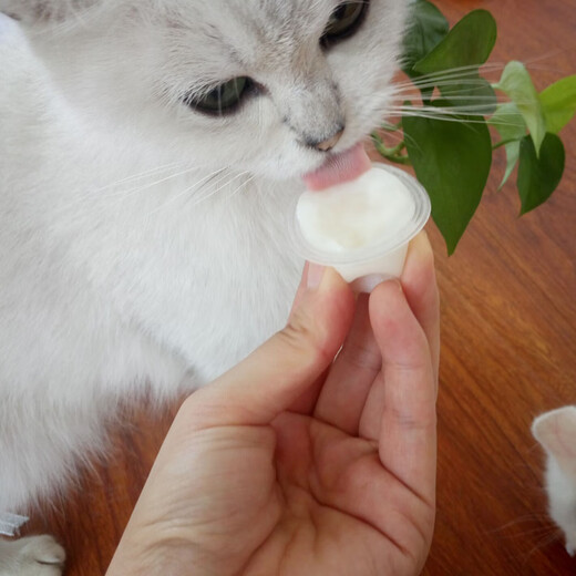 BOTH Platinum Goat Milk Pudding Cat Snacks for Adults and Young Cats Goat Milk Jelly Pet Cat Reward Snacks Nutritious Wet Food Fish Oil Pudding for Cats 50 Tablets*16g Barrel