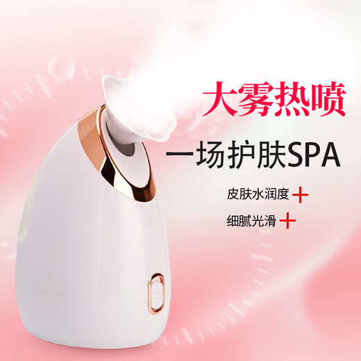 Hot spray facial steamer to hydrate and moisturize, household facial steamer, beauty instrument, delicate spray machine, facial humidifier, nano spray to hydrate, girlfriend and elders Christmas gift 904 red