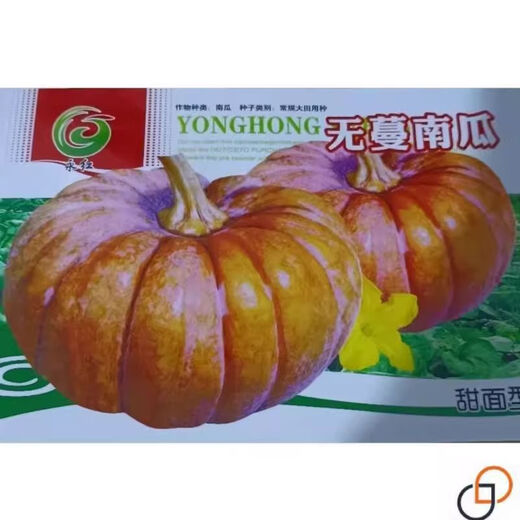 Vineless pumpkin seeds, sweet pumpkin, chestnut flavor powder, glutinous and sweet chestnut pumpkin seeds, high yield and disease resistance, original, one pack, about 20+, vineless pumpkin seeds
