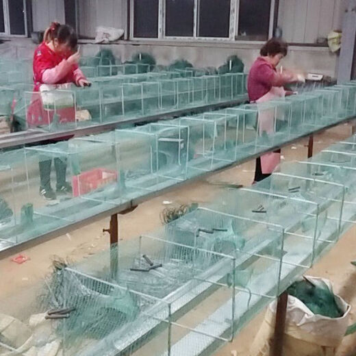 Shrimp pot fishing net, fish net, lobster net, thickened fishing pot, fish pot, shrimp net, river shrimp net, eel, loach and lobster net, 15 meters, 33 sections, 24 holes, full set of belt pendants