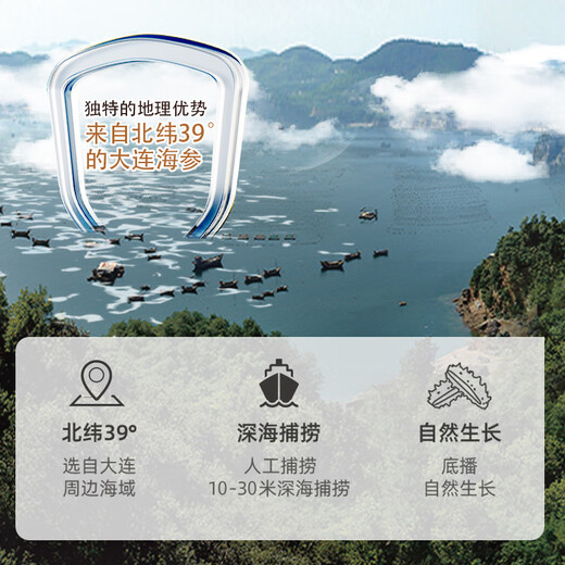 Xiaoqin Dalian dried sea cucumber 250g 30-45 pieces Liao sea cucumber dried sea cucumber half Jin Jin equal to 0.5 kg gift box