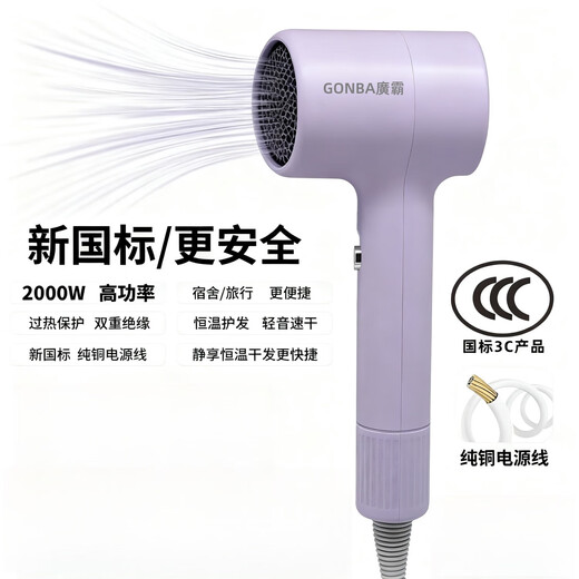 GUANGBA New National Standard Plasma Hair Dryer Hair Care Silent Quick-drying Anti-static Smooth Hair Dryer Hairstylist Special Barber Shop Home Quick-drying Negative Ion Hair Care Hair Dryer Lavender Purple New National Standard Safer 2000W + Styling Nozzle 1.8M Pure Copper Power Cord