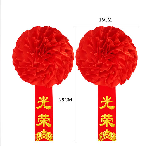 Huawoli Landscape Glory Corsage for Retirement and Retirement 2 Packs Wu Dahonghua Chest Commendation Corsage for Soldiers Military Double-sided Pin