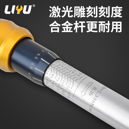 Liyu torque wrench high-precision preset torque wrench auto repair wrench 72 teeth 1/2 Dafei 20-210 (N.m)