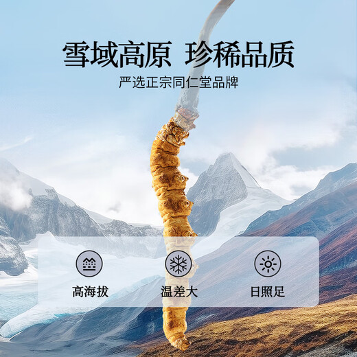 Tongrentang brand Beijing Tongrentang Cordyceps sinensis about 5 roots/g10g Cordyceps gift box high-end gift tonic for giving away