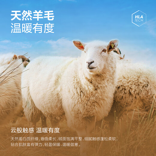 Heilan House (HLA) Sweater Men's Warm Long-Sleeved Sweater Men's Round Neck Pullover Bottoming Sweater Men's Wool Comfortable Sweater Men's Khaki 26 - Contains Wool/Antibacterial/Far Infrared Warmth L/175/92A