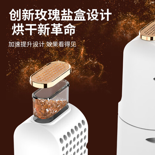 Fully automatic shoe dryer, household sterilization dryer, shoe sterilization and deodorization all-in-one machine, dry and wet dual-use, can dry two pairs of shoes, spaceship - touch screen digital display model, telescopic stand