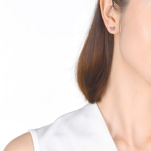 Chow Sang Sang Pt950 Butterfly Platinum Earrings Pair of Earrings Women 33197E Pricing