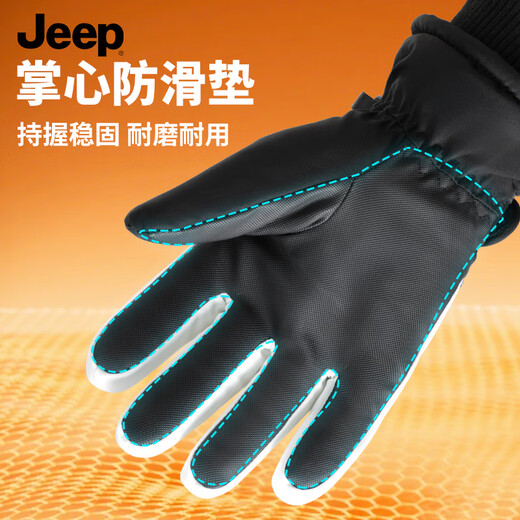 JEEP Ski Gloves Winter Women's Cycling Electric Vehicle Warm, Windproof and Cold-proof Touch Screen Plus Velvet Thickened Gloves for Women Purple