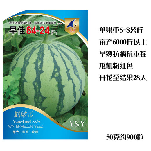 Wei Meng Meidu Red Crisp Hand Nanzaojia 8424 Watermelon Seeds Seedless Extra Large Watermelon Seeds Black Skin Yellow Soil Seedless 100 Tablets