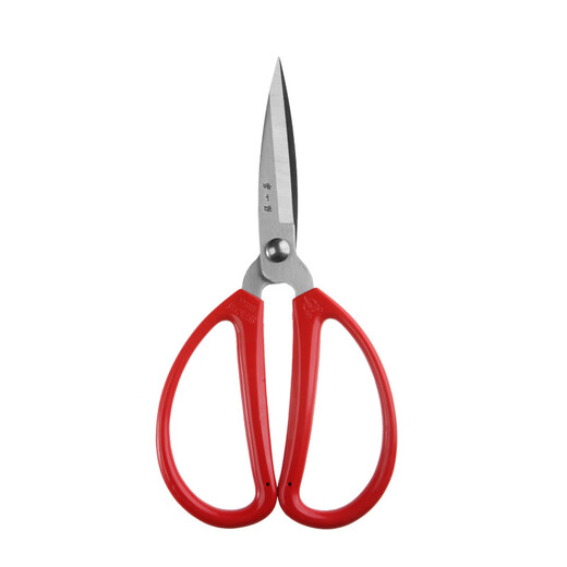Zhang Xiaoquan stainless steel household pointed scissors, essential for paper cutting and thread cutting, large size 17.4cm large size (17.4cm)