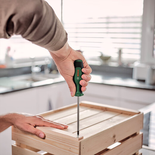 Bosch (BOSCH) S2 screwdriver German magnetic screwdriver set screwdriver repair and disassembly machine one-word Phillips screwdriver PH2x125