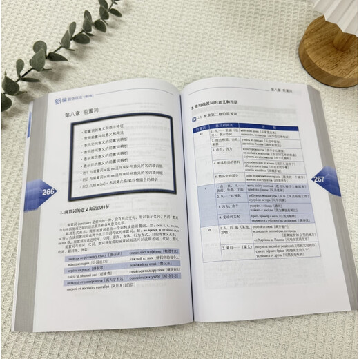 Neue russische Grammatik (2. Auflage)