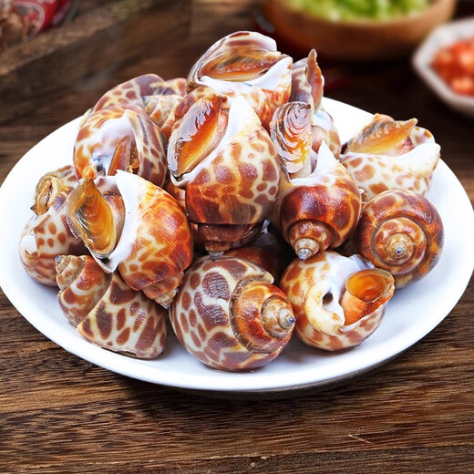 Xianchi Flower Snails Fresh Fresh Frozen Conch Extra Large Dongfeng Snail Extra Large Deep Sea Shellfish Seafood Wholesale Extra Large No Sand Net Weight 1500g