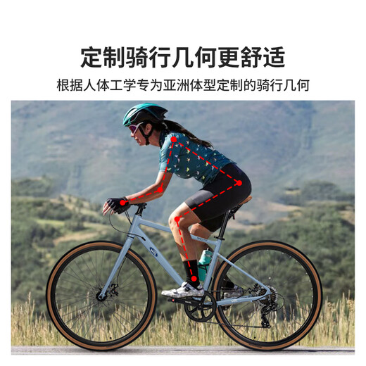 福特公路自行车YM200蓝图14速 铝合金车架线拉碟刹成人男女款单车 直把/骑士灰 M码 建议【155-175cm】