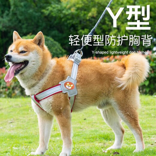 Dog leash harness vest-style pet walking leash small and medium-sized Shiba Inu Corgi Bichon Teddy dog chain red anti-breakaway harness S