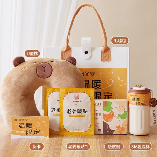 爱美礼冬日伴手礼盒公司员工实用礼品定制商务团建企业年会奖品纪念品 冬季保暖伴手礼套装1