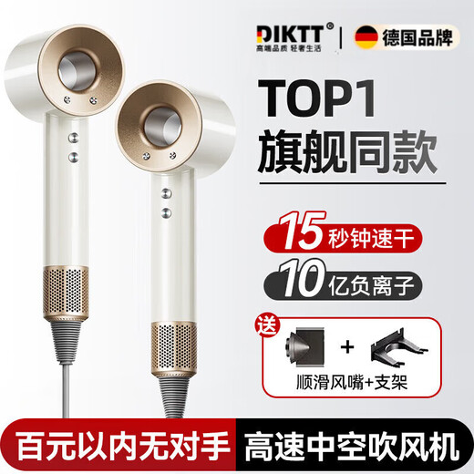 DIKTT Germany Hair Dryer Home Silent Negative Ions High Power Does Not Hurt Electricity Hair Dryer Girls Special Home Genuine Does Not Hurt Hair Silent Second Dry Hair Care Hair Dryer Laifen Ceramic White Single Air Nozzle 3 Billion Negative Ions Valentine's Day Gift for Your Target