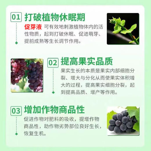 Taihui Li Cui Ya 50% Monocyanamide Ammonia Grape Peach Kiwi Fruit Tree Accelerating Bud Sleeping Agent Monocyanogen Ammonium Growth Regulator 250ml*8 bottles Production date September 25 Shelf life 2 years