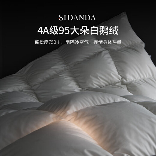 SIDANDA down quilt 4A grade 95 white goose down 100 count cotton antibacterial thickened winter quilt 220*240cm