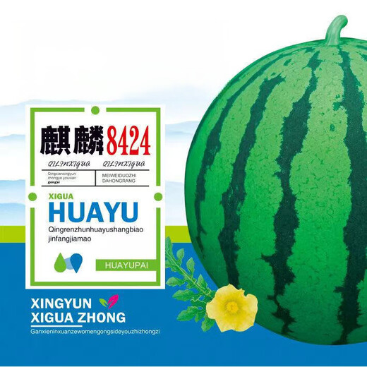 Kirin 8424 Watermelon Seeds Black Beauty Watermelon Seeds Thin Skin Super Sweet Early Maturity Few Seeds Academy of Agricultural Sciences Watermelon Seeds Kirin 8424 (Watermelon Seeds) 1 bag/color original package (random packaging)