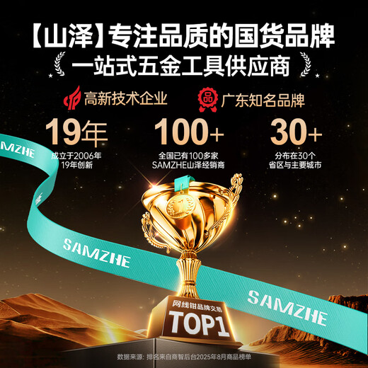 Shanze wire pliers vise 8 inches electrician pliers household labor-saving clamping multi-function vise pliers wire cutter GTG8