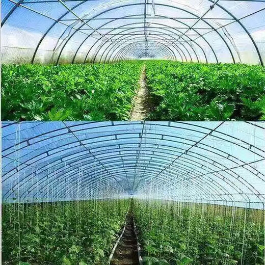 Greenhouse plastic film non-drip film agricultural greenhouse film PO film vegetable planting anti-fog high light transmittance anti-aging longevity film national standard thickness non-drip film 12 silk (0.12 mm) official authentic 7 meters wide customization how many meters are needed to take how many pieces