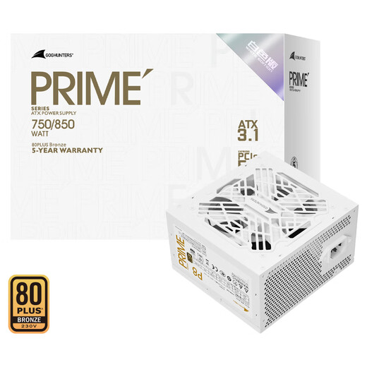 长城（Great Wall）额定850W P8白色铜牌直出线电源（ATX3.1/原生12V-2x6/单路12V/全电压/12CM风扇/支持5080显卡）