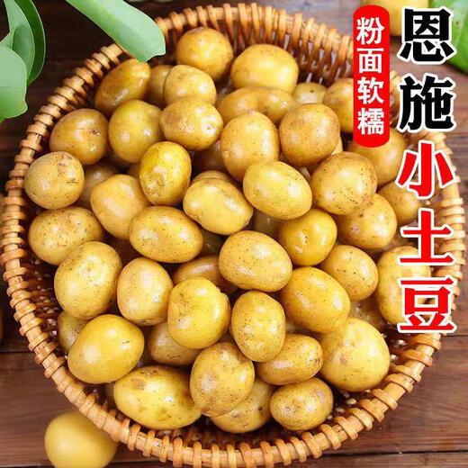 New arrivals of the season: Enshi yellow heart small potatoes, straight-haired small potatoes from high mountain origin, fresh mini potato potatoes, Enshi small potatoes 1Jin Jin is equal to 0.5kg, with box starting from 60g