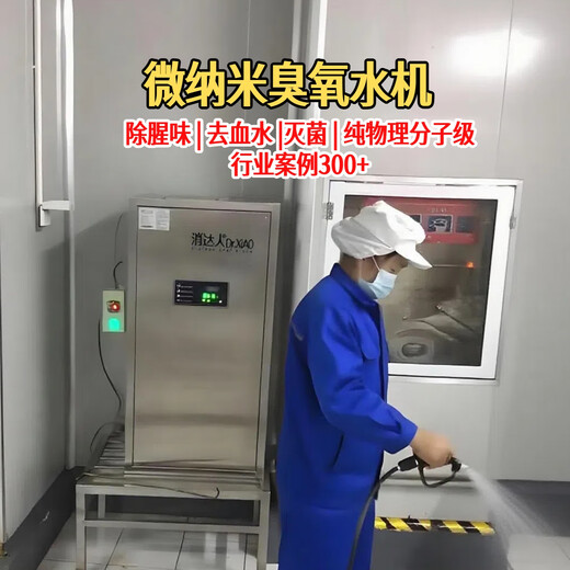 Xiaodaren micro-nano bubble generator ozone water machine food factory cleaning, sterilization, fishy and odor removal, bleaching, decolorization and blood removal, pesticide residue, aquatic products and seafood micro-nano ozone water intention model
