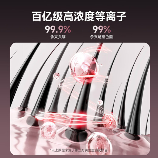 RUAFEE high-speed hair dryer, hollow quick-drying hair care household plasma hair dryer, high-power negative ion far infrared hair dryer for women that does not damage hair, national subsidy, Xinyue powder, hair drying time is halved