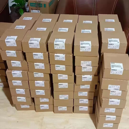 Siemens 313CPU6ES7313-5BF03/5BG04/6BG04-0AB0 /2NP/DP host 6ES7313-5BG04-0AB0