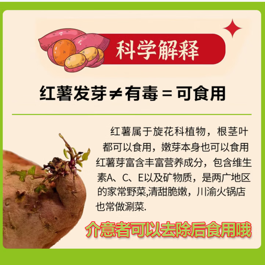 Authentic Tobacco Potato No. 25 Oil-flowing Honey Roasted Sweet Potato Sweet Potato Origin Straight-haired Sweet Potato Net Weight 3Jin Jin equals 0.5kg Single fruit 50-150g