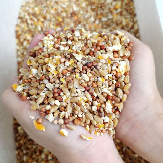 Sorghum, wheat and chopped corn mixed with chicken, corn crushed residue, corn grits, chicken and duck grain, pigeon grain, rabbit, pig, hamster, 3 Jin Jin equals 0.5 kg (sorghum + wheat + chopped corn mixed)
