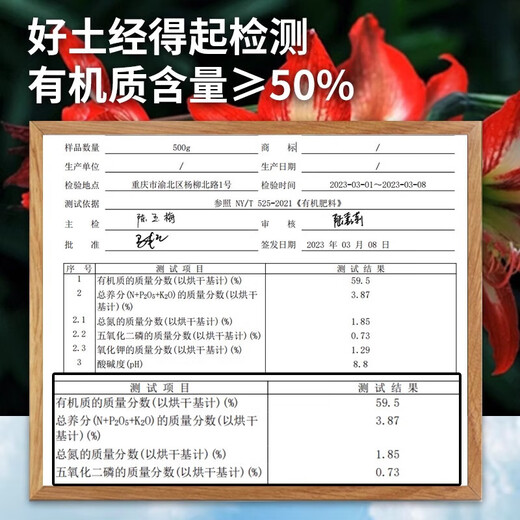 Amaryllis special soil bulb seed ball nutrient soil special fertilizer flower cultivation soil household organic soil Amaryllis special soil 10 liters