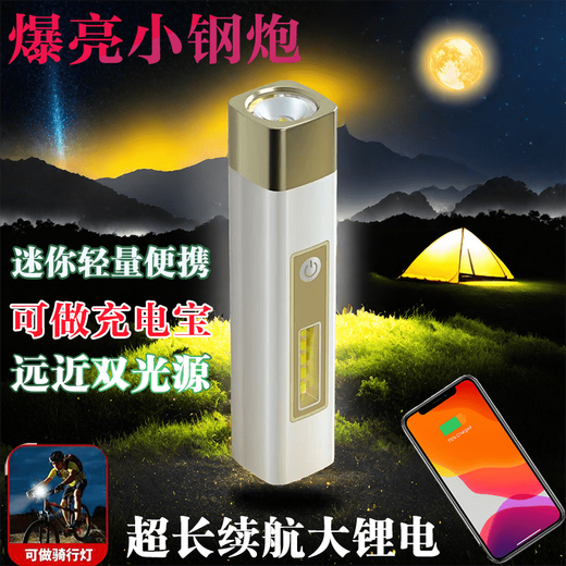 探路蜂（EWPLORE WASP）强光手电筒可充电超亮远射家用户外便携多功能迷你LED 多档调节-超大容量【有侧灯银色】，9720K【爆亮