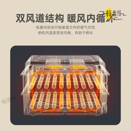 RSRDDY egg incubator household fully automatic small water bed small egg rutin incubator machine intelligence 36 pieces of intelligent single electric temperature + number of days