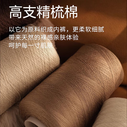 Modal pants men's underwear men's pure cotton full 10A antibacterial high-end boys' underwear boxer briefs men's shorts 2XL