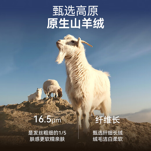 EMZ Ordos 100% cashmere men's cashmere sweater, skin-friendly and warm, classic round neck style