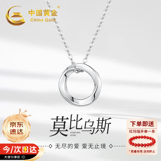 China Gold Möbius Platinum Necklace for Women 2025 New Platinum Pendant Birthday Gift for Girlfriend and Wife Wedding Anniversary Platinum Möbius Pendant + Pure Silver Chain Jingsuda