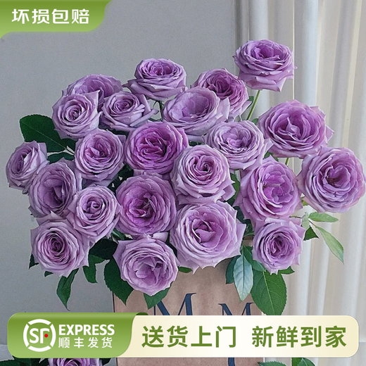 Yunnan flowers wholesale quality rose lily water-grown fresh cut flowers for your girlfriend’s birthday gift straight from the source Purple roses - 10 pieces (small buds, indefinite variety) Choose 2 pieces No shipping fee