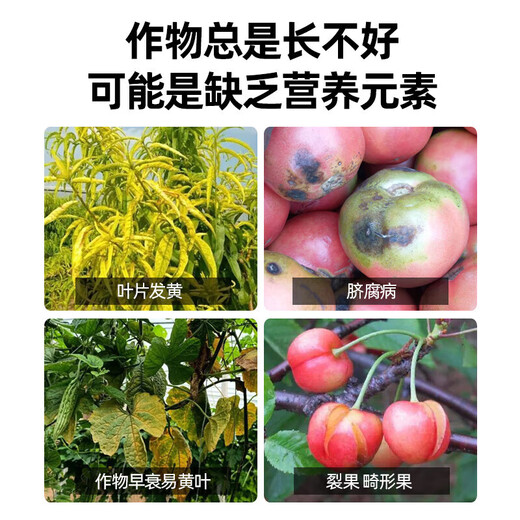 Trichoderma harzianum agent Bacillus subtilis foliar water-soluble fertilizer anti-root rot microbial agent Trichoderma harzianum 1kg*10 bags