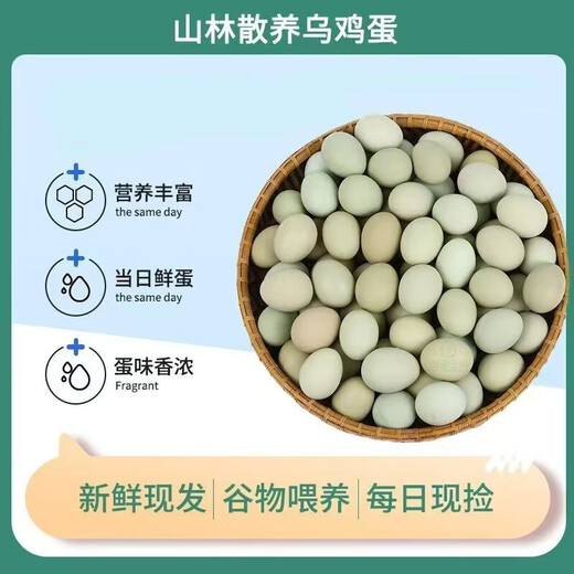 Pick up black eggs now, stock green eggs in the forest, cordyceps green eggs, edible for the elderly and children, 60 green eggs Pick up black eggs now, stock green eggs in the forest, cordyceps green eggs, edible for the elderly and children, 60 green eggs
