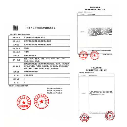 WELLDAY oxygen supply portable oxygen inhaler for pregnant women and the elderly plateau travel oxygen supply tank 1000ml*4 bottles