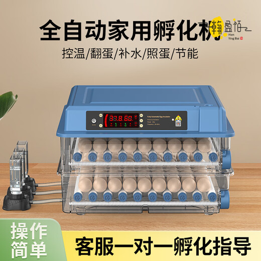 RSRDDY egg incubator household fully automatic small water bed small egg rutin incubator machine intelligence 36 pieces of intelligent single electric temperature + number of days