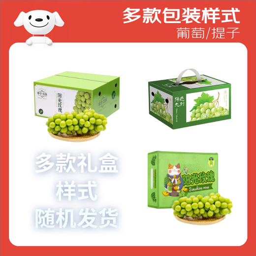 Jingxiansheng Sunshine Rose Grape Green Grape 4-4.5Jin Jin is equal to 0.5kg gift box, single fruit about 10g, fresh fruit, fresh gift box