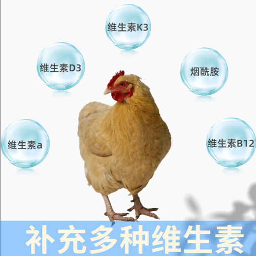 DSM 438 multivitamin 438DSM livestock and poultry vitamin premix for poultry, chicken, duck and goose 438438DSM premix for poultry, chicken, duck and goose