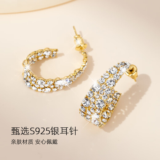 Yalundi's unique earrings to support pierced ears, silver earrings, 2025 new hot style women's light luxury, high-end, elegant and atmospheric ear jewelry