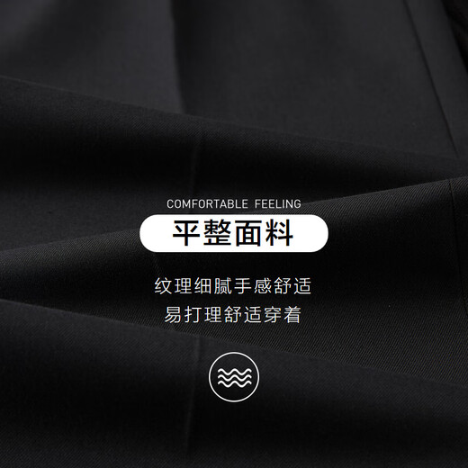 Heilan House Suit Men's Light Business Classic Series Elegant Gentleman's Large Size Suit Men's HTXAW3Y001A Black 02 S 170/88A Recommended 57~62kg